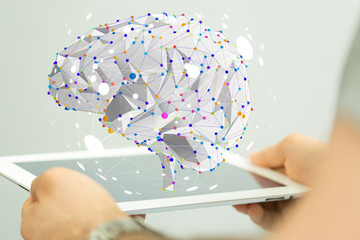 魔兽世界有哪些比较好抓的灵魂兽？