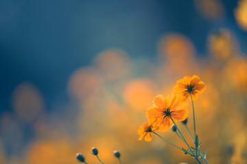 压滤机滤布是什么材质的