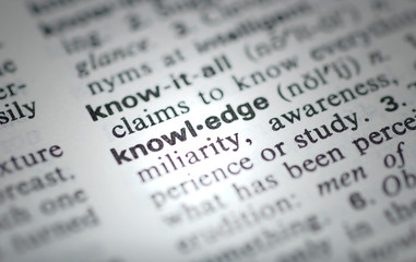 魔兽世界有哪些比较好抓的灵魂兽？