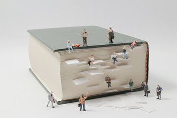 魔兽世界有哪些比较好抓的灵魂兽？