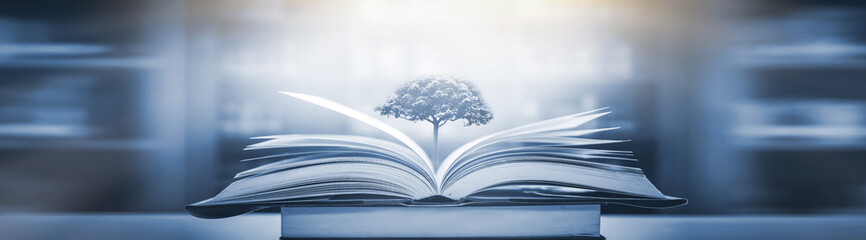 4minute和2NE1出道至今在歌谣节目和各大颁奖礼中得过哪些奖？