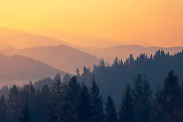 压滤机滤布是什么材质的