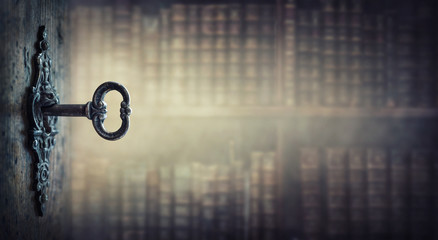 压滤机滤布是什么材质的