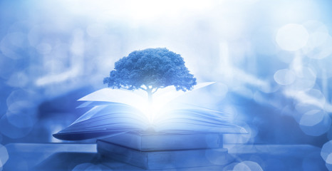 DNF求个详细的战争英雄之无双太刀属性……