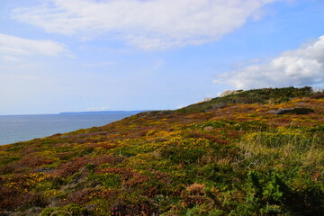 世界十大河流之亚马逊河
