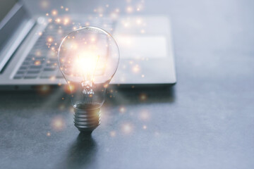 海兽包括哪些种类？