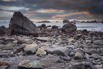 邻家花美男里那个熊猫眼女编辑叫什么？