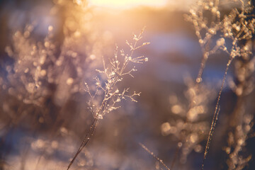 邻家花美男里那个熊猫眼女编辑叫什么？