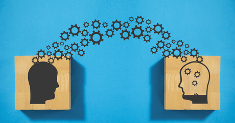 魔兽世界有哪些比较好抓的灵魂兽？