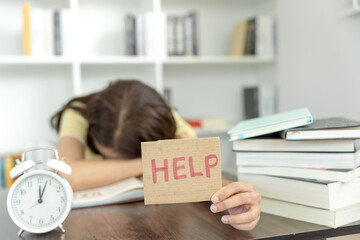 邻家花美男里那个熊猫眼女编辑叫什么？