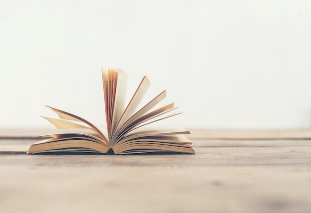 魔兽世界有哪些比较好抓的灵魂兽？