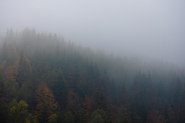 公司起名带字的最佳宜用名寓意吉利的名字集？