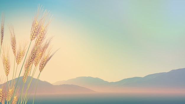 分手不是我的错歌词