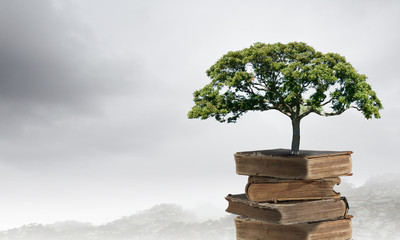 压滤机滤布是什么材质的