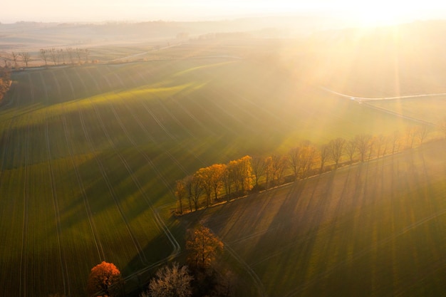 分手不是我的错歌词