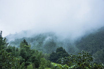 求哆啦A梦新番所有剧场版名字